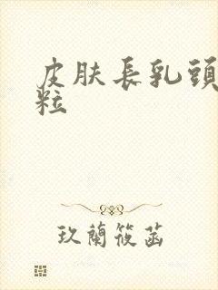 皮肤长乳头状肉粒