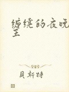 缠绕的夜晚双男主