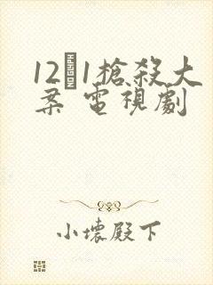 12·1枪杀大案 电视剧