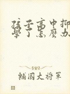 孩子高中抑郁厌学了怎么办封面