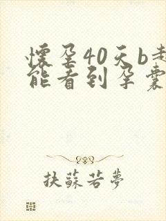 怀孕40天b超能看到孕囊多大