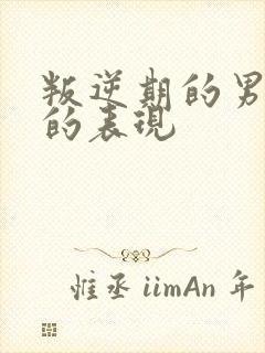 叛逆期的男孩子的表现