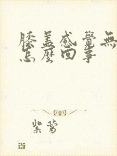 膝盖感觉无力是怎么回事