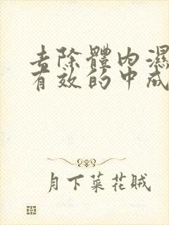 去除体内湿气最有效的中成药