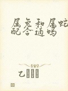 属兔和属蛇的婚配合适吗