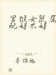 男猴女鼠属相婚配好不好