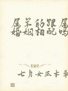 属羊的跟属狗的婚姻相配吗封面