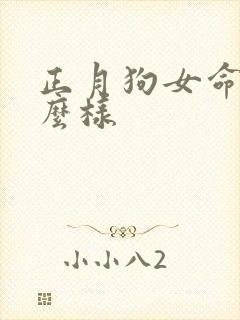 正月狗女命运怎么样