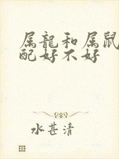 属龙和属鼠的婚配好不好