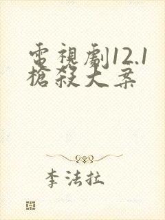 电视剧12.1枪杀大案