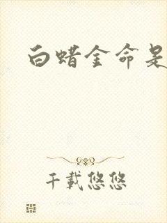 白蜡金命是什么