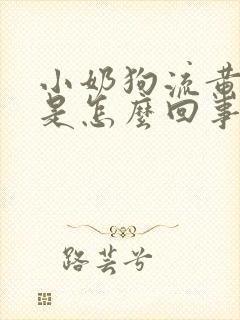 小奶狗流黄鼻涕是怎么回事