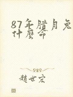 87年腊月兔子什么命