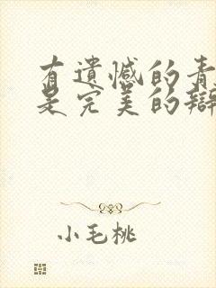 有遗憾的青春才是完美的辩论赛