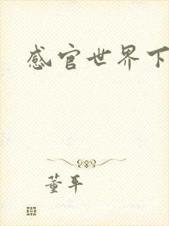 感官世界下载封面