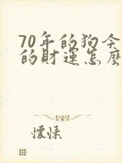 70年的狗今年的财运怎么样