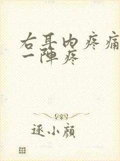右耳内疼痛一阵一阵疼封面