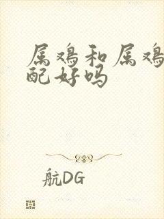 属鸡和属鸡的婚配好吗