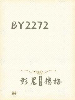 BY2272封面