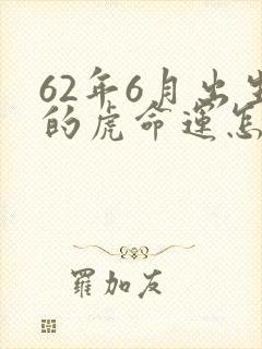 62年6月出生的虎命运怎样