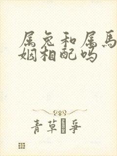 属兔和属马的婚姻相配吗