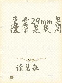 孕囊29mm是怀孕是几周封面