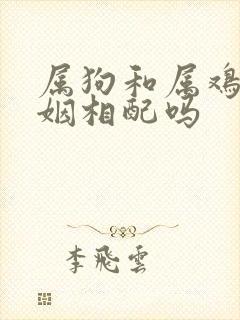 属狗和属鸡的婚姻相配吗封面