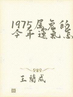 1975属兔的今年运气怎样