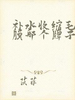 补水收缩毛孔面膜哪个牌子好用