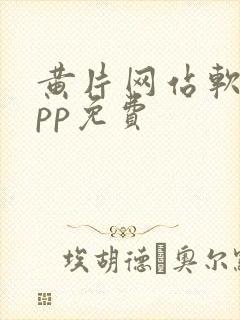 黄片网站软件app免费