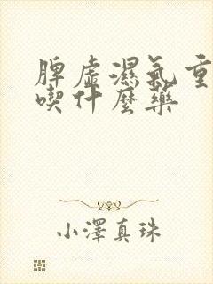 脾虚湿气重胃寒吃什么药封面