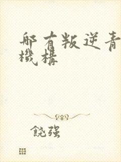 哪有叛逆青少年机构封面