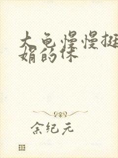 大龟慢慢挺进张娟的休封面