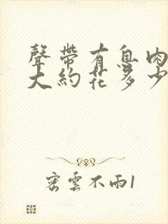 声带有息肉手术大约花多少钱