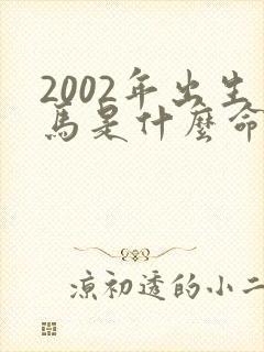 2002年出生马是什么命