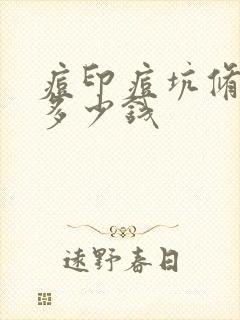 痘印痘坑修复要多少钱