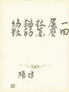 幼猫拉屎一粒一粒的怎么回事