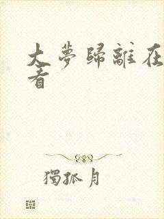 大梦归离在那里看封面