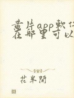 黄片app软件在哪里可以免费下载