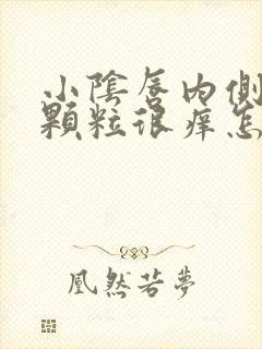 小阴唇内侧长小颗粒很痒怎么回事