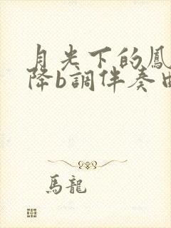 月光下的凤尾竹降b调伴奏曲伴奏