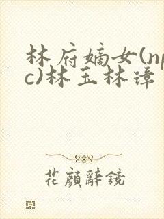 林府嫡女(npc)林玉林璋
