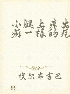 小腿上痒出的像癣一样的疙瘩