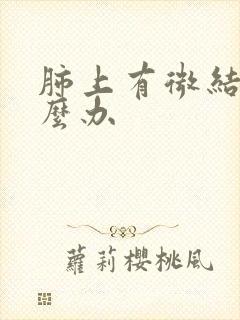 肺上有微结节怎么办封面