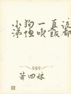 小狗一直流黄鼻涕但吃饭都正常