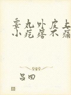 睾丸外皮上有个小疙瘩不痛不痒