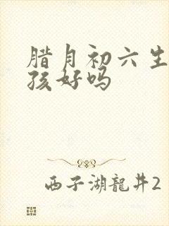 腊月初六生的女孩好吗