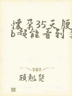 怀孕35天腹部b超能看到孕囊吗