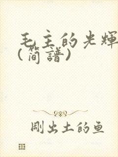 毛主的光辉简谱(简谱)