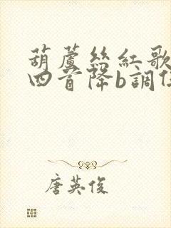 葫芦丝红歌联奏四首降b调伴奏